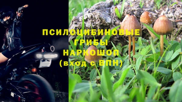 стафф Краснотурьинск