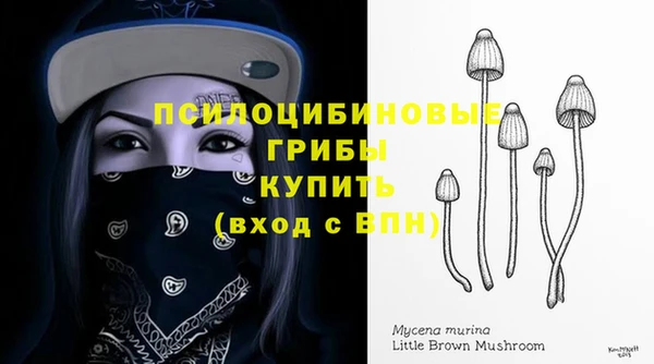 стафф Краснотурьинск