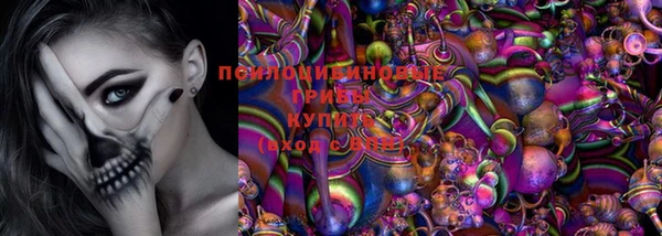 jwh Краснослободск