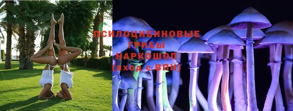 jwh Краснослободск