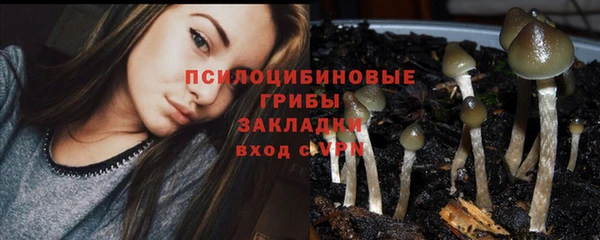 стафф Краснотурьинск