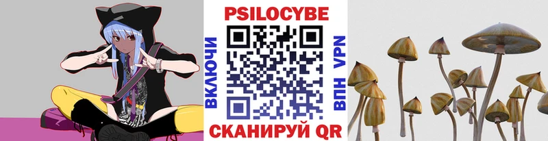 Псилоцибиновые грибы ЛСД  наркошоп  Юхнов 